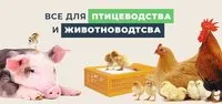 Боксы для свиноферм, перегородки для свиноферм